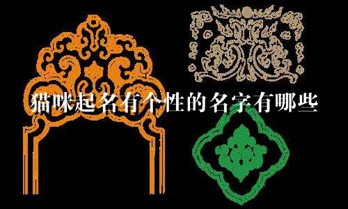 猫咪起名有个性的名字有哪些