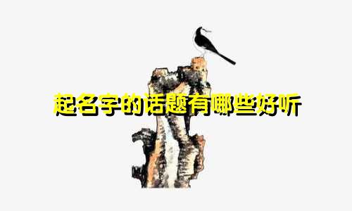 起名字的话题有哪些好听