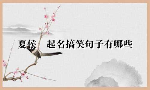 夏侯惇起名搞笑句子有哪些