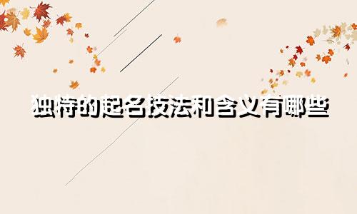 独特的起名技法和含义有哪些