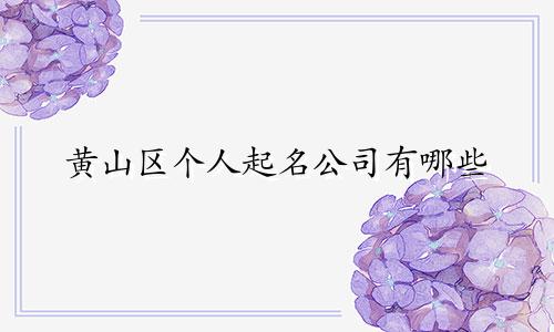 黄山区个人起名公司有哪些