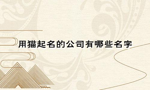 用猫起名的公司有哪些名字