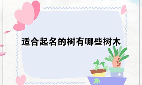 适合起名的树有哪些树木