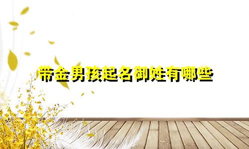 带金男孩起名御姓有哪些