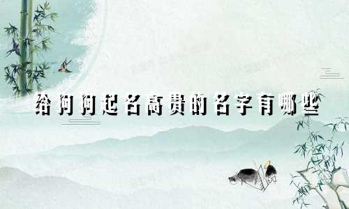 给狗狗起名高贵的名字有哪些