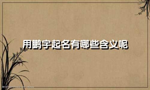 用鹏字起名有哪些含义呢