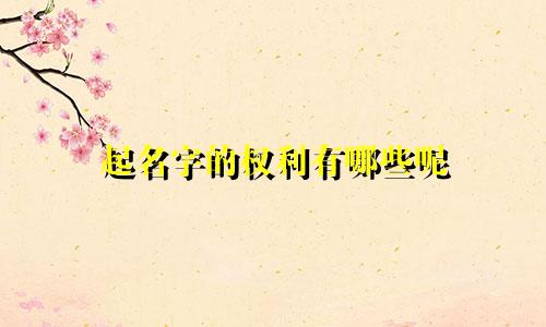 起名字的权利有哪些呢