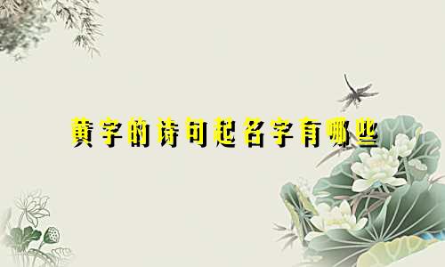 黄字的诗句起名字有哪些