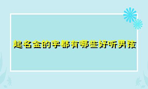 起名金的字都有哪些好听男孩