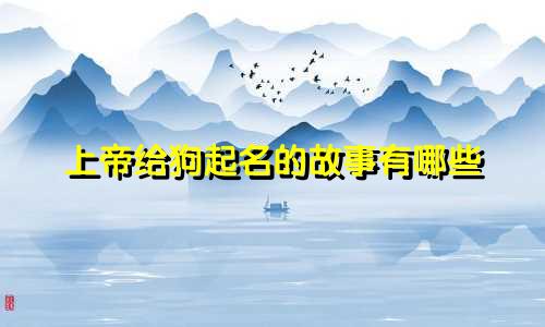 上帝给狗起名的故事有哪些