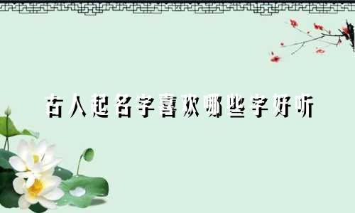 古人起名字喜欢哪些字好听