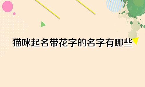 猫咪起名带花字的名字有哪些