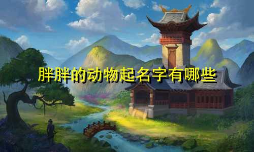 胖胖的动物起名字有哪些