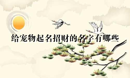 给宠物起名招财的名字有哪些