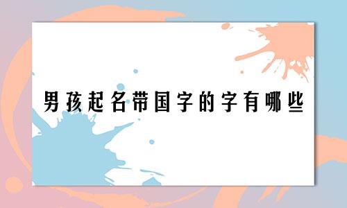 男孩起名带国字的字有哪些