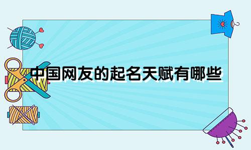 中国网友的起名天赋有哪些