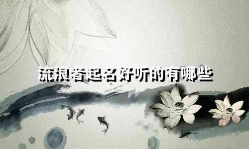 流浪者起名好听的有哪些