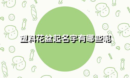 塑料花盆起名字有哪些呢