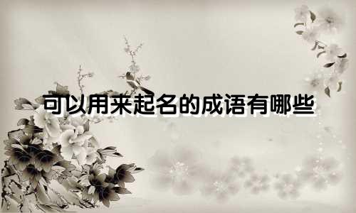 可以用来起名的成语有哪些