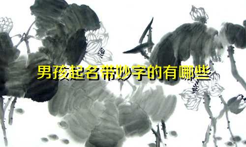 男孩起名带妙字的有哪些