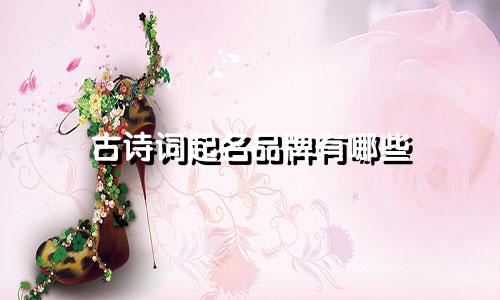 古诗词起名品牌有哪些