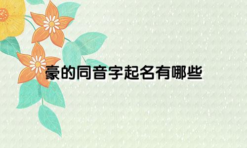 豪的同音字起名有哪些