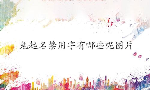 兔起名禁用字有哪些呢图片