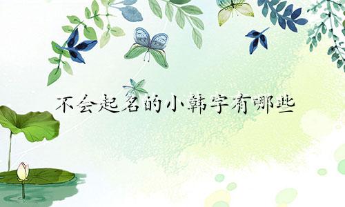 不会起名的小韩字有哪些