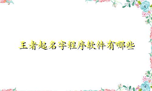 王者起名字程序软件有哪些
