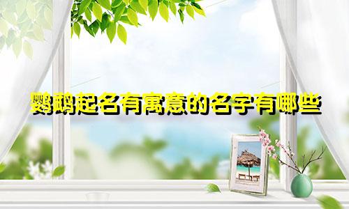 鹦鹉起名有寓意的名字有哪些