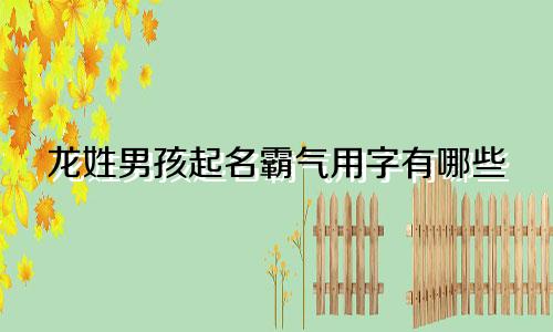 龙姓男孩起名霸气用字有哪些