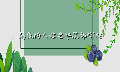属兔的人起名字忌讳哪些