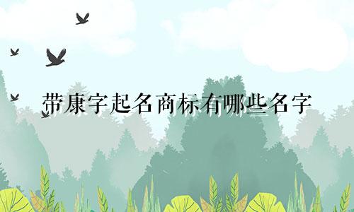 带康字起名商标有哪些名字