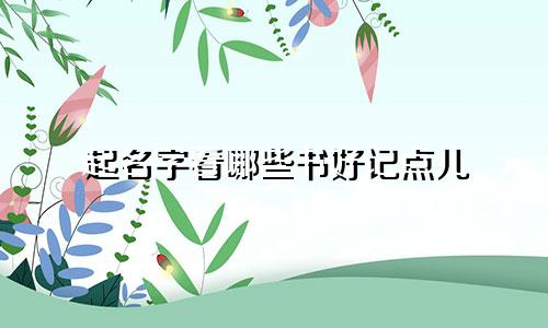 起名字看哪些书好记点儿