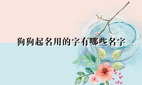狗狗起名用的字有哪些名字