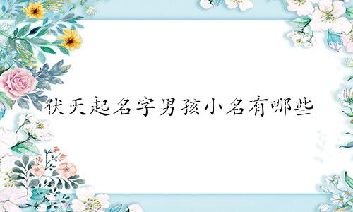 伏天起名字男孩小名有哪些