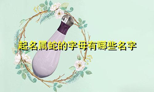 起名属蛇的字母有哪些名字