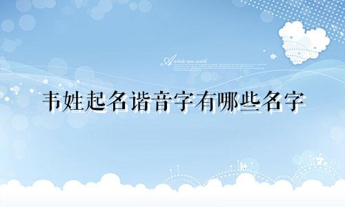 韦姓起名谐音字有哪些名字