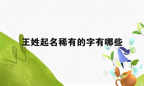 王姓起名稀有的字有哪些