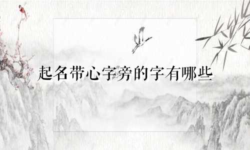 起名带心字旁的字有哪些