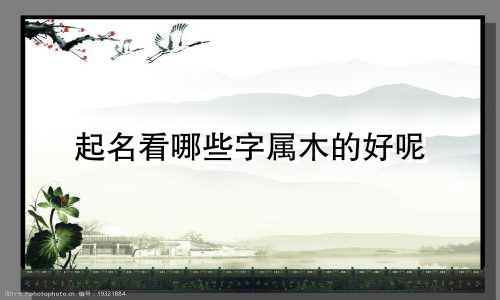 起名看哪些字属木的好呢
