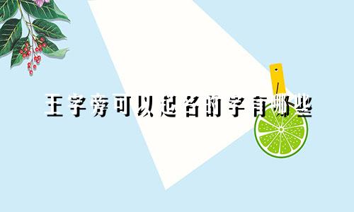 王字旁可以起名的字有哪些