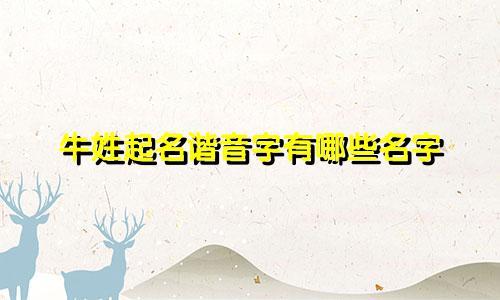 牛姓起名谐音字有哪些名字