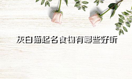 灰白猫起名食物有哪些好听