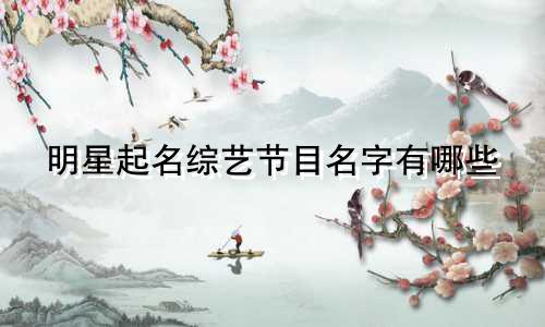 明星起名综艺节目名字有哪些