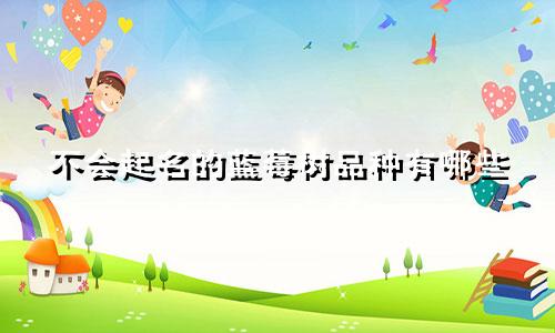 不会起名的蓝莓树品种有哪些