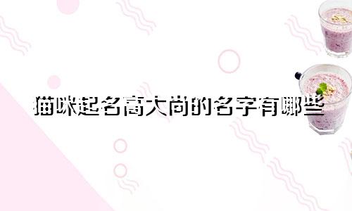 猫咪起名高大尚的名字有哪些