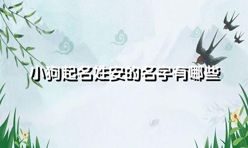 小狗起名姓安的名字有哪些
