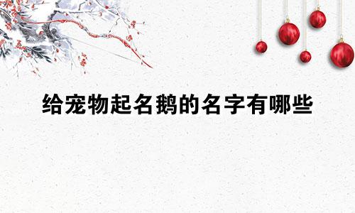 给宠物起名鹅的名字有哪些