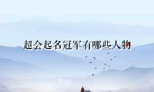 超会起名冠军有哪些人物